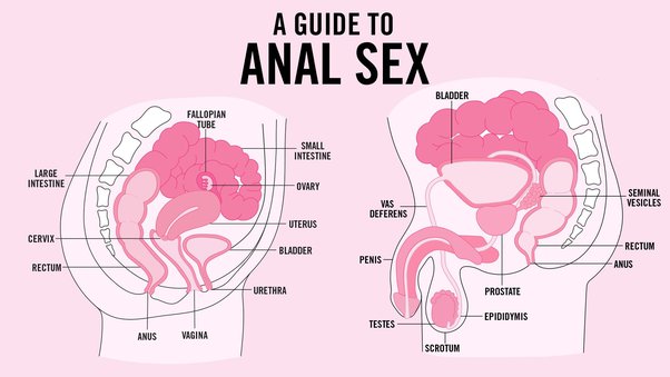 Anal penetration tube Gay buff asian porn