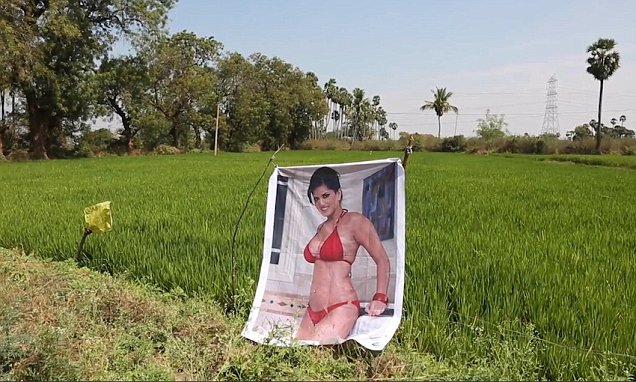 Bes indian porn Wonder woman toon porn