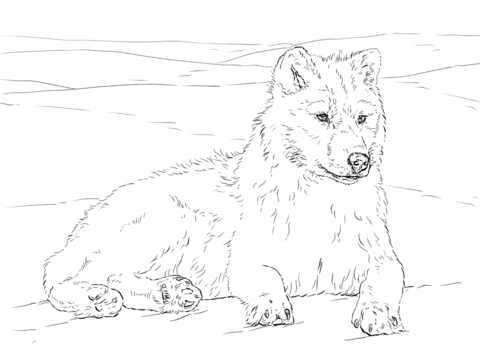 Detailed wolf coloring pages for adults Legal mature porn
