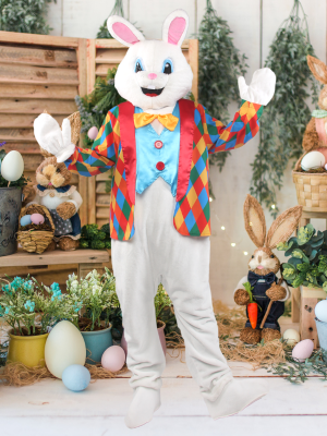 Easter bunny costume adults plus size Adult cameraman costume