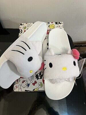 Hello kitty slides for adults Birthday adult funny