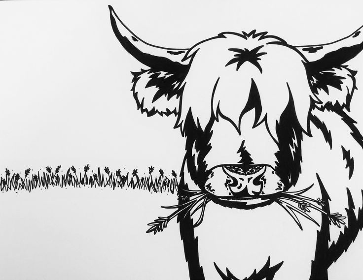 Highland cow coloring pages for adults B pornstar