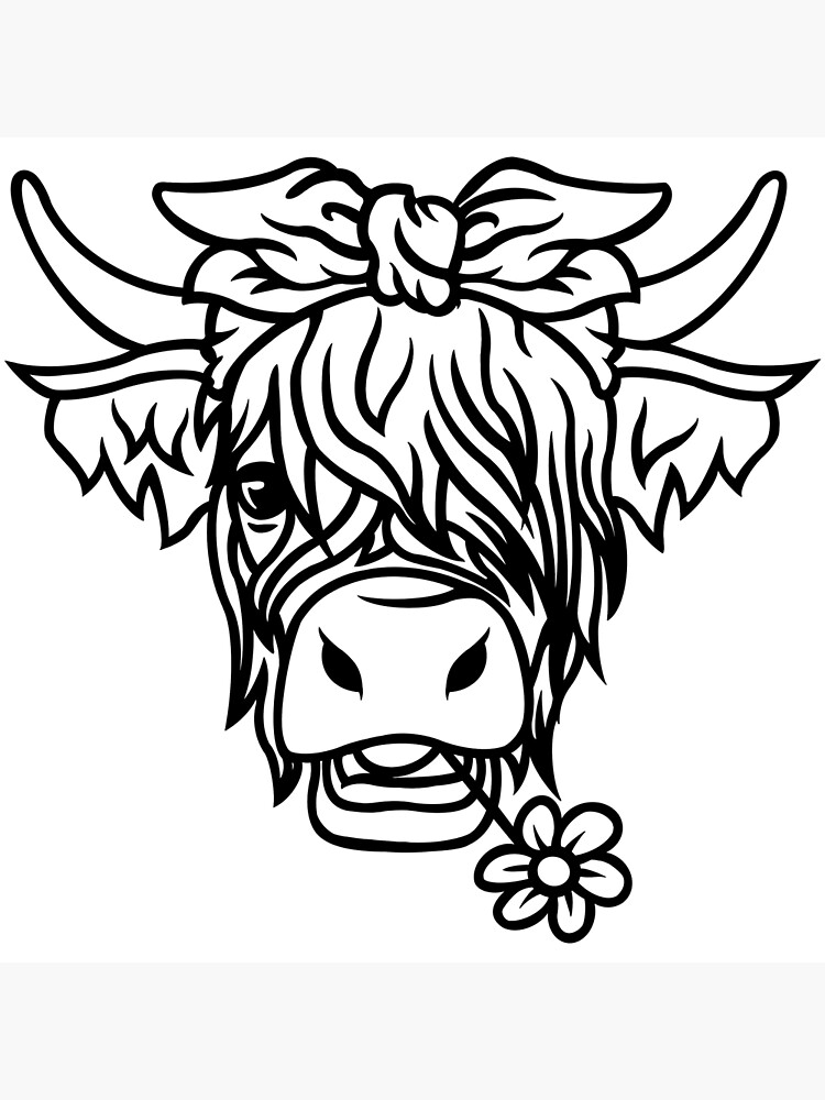 Highland cow coloring pages for adults Adult search torrance
