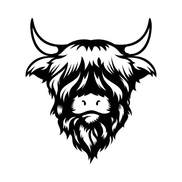 Highland cow coloring pages for adults Realestkatt xxx