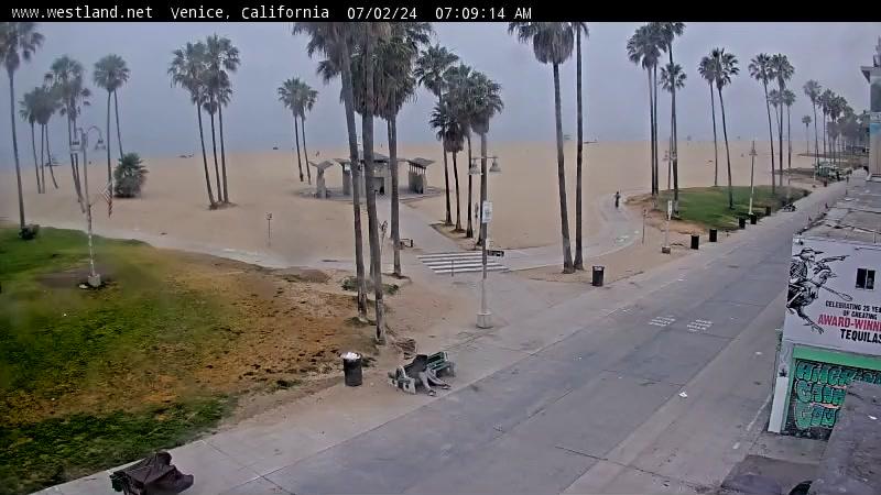 Live webcam venice beach california Pornos de gordibuenas