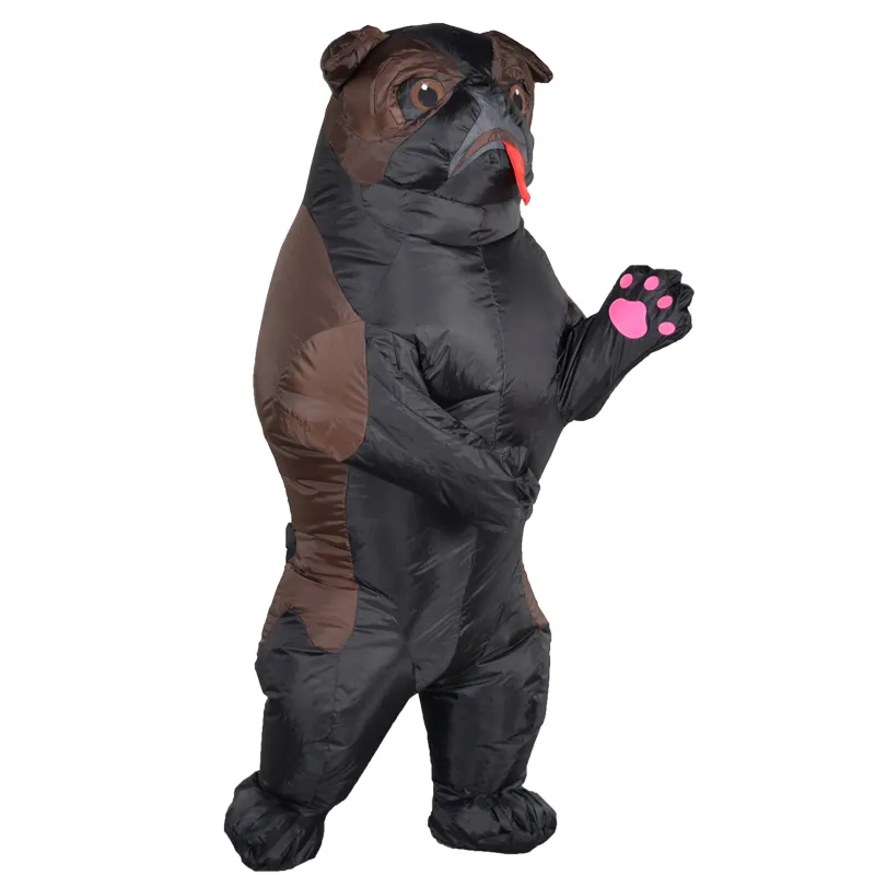Pug costume for adults Porn filming near me