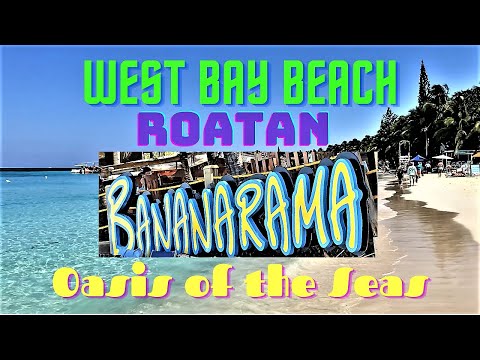Roatan honduras webcam Most fun cruise ship for adults