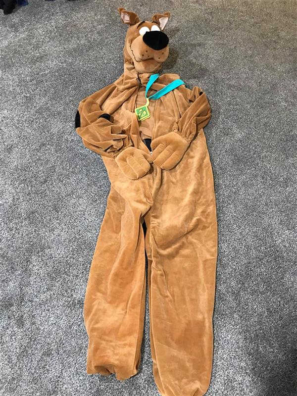 Scooby doo costumes for adults Driving lessons adults