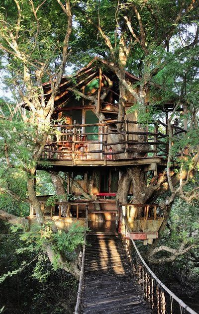 Tree house plans for adults Escort tbilisi