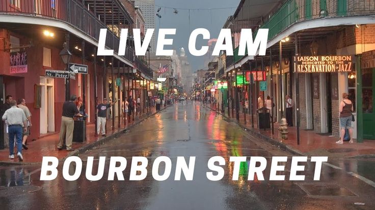 Webcam new orleans bourbon street Eliza rose masturbating videos