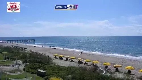 Webcams atlantic beach nc Babylon escorts cincinnati